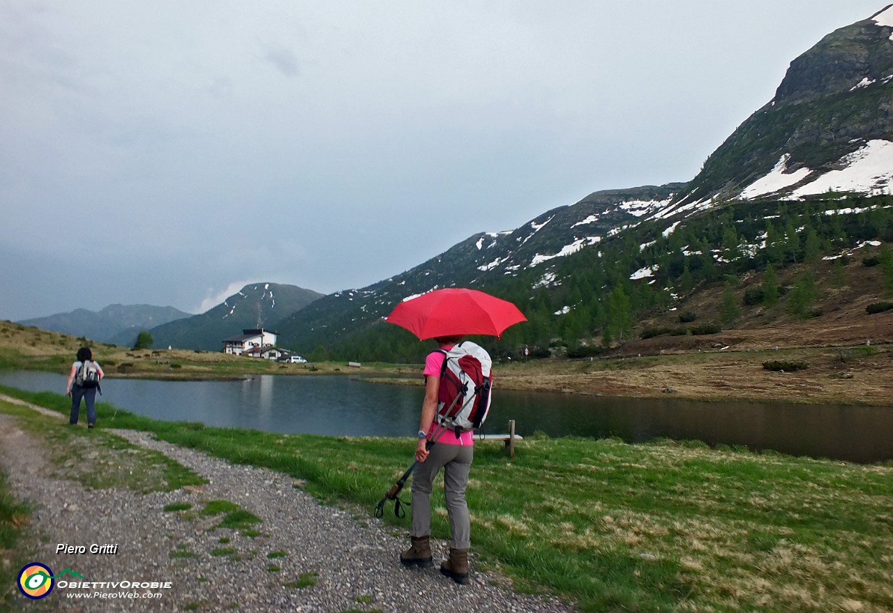 99 Rientriamo al Passo-Rifugio del Vivione.JPG